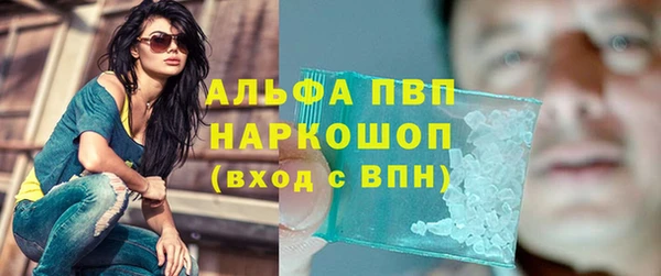 ГАЛЛЮЦИНОГЕННЫЕ ГРИБЫ Аркадак