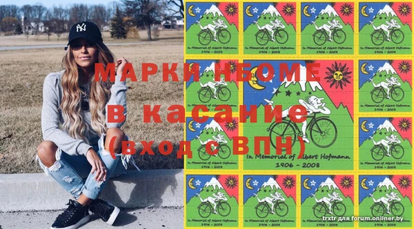 ГАЛЛЮЦИНОГЕННЫЕ ГРИБЫ Аркадак