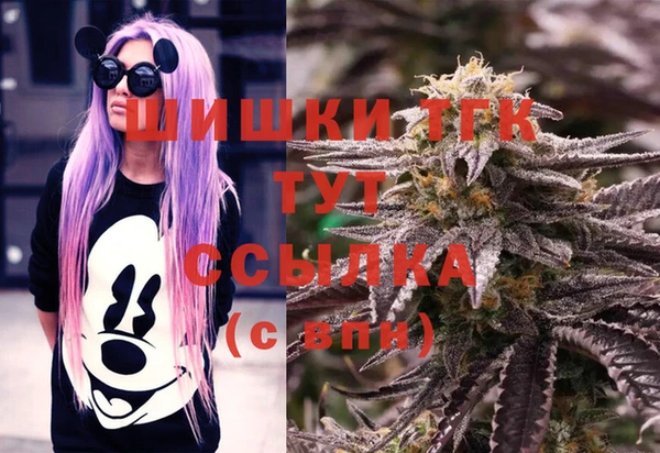 ГАЛЛЮЦИНОГЕННЫЕ ГРИБЫ Аркадак