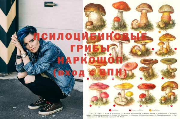 экстази Арсеньев