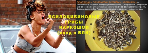 экстази Арсеньев
