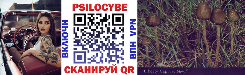 Псилоцибиновые грибы Cubensis Мензелинск